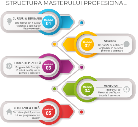 Structura masterului profesional