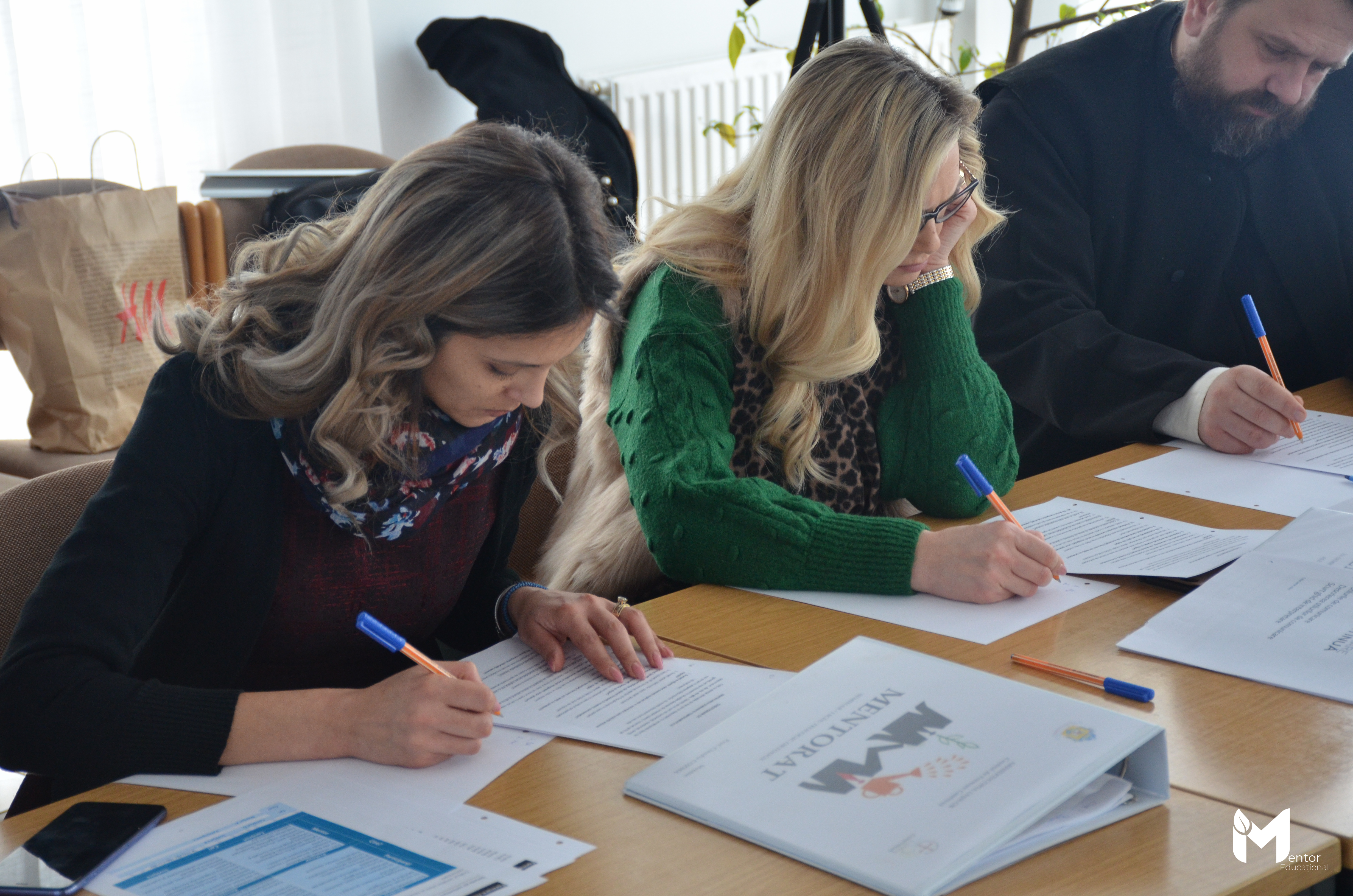 Mentor educațional, valul 2.2